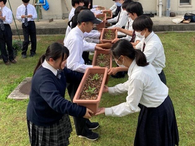 京都府立桂高等学校 | 学科紹介 : 第2研究群